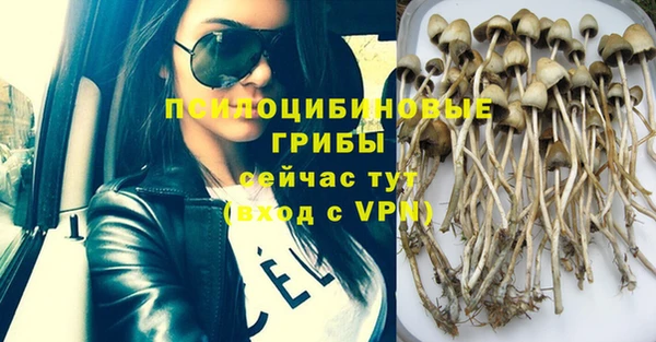 герыч Новозыбков