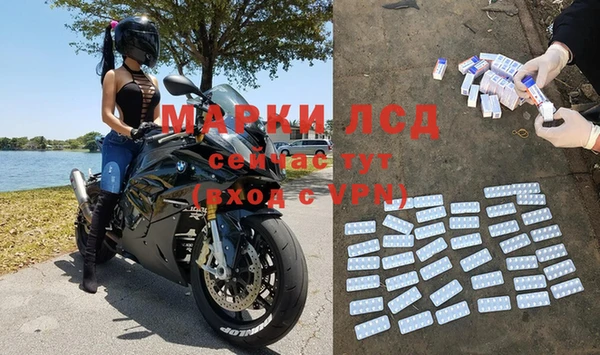 a pvp Новодвинск
