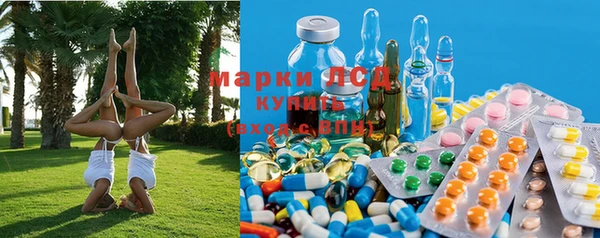 a pvp Новодвинск